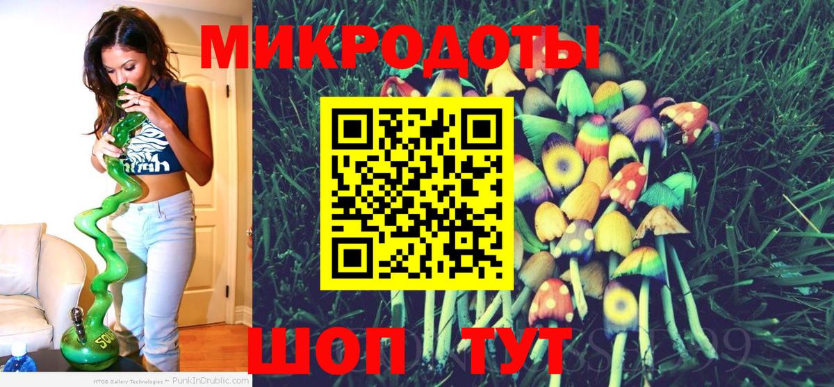 Галлюциногенные грибы Psilocybine cubensis Ипатово